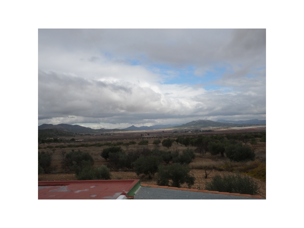 DSCF6705