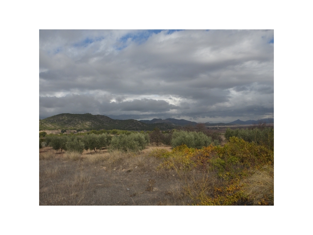 DSCF6727