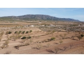 9-6867/4121, Land in Pinoso