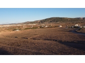 9-7481/5120, Land in Pinoso