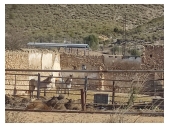 MP5181, Licensed Equestrian Centre