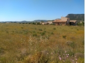 12-7853/5516, Land in Aspe