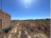 12-7291/5585, Land in Pinoso