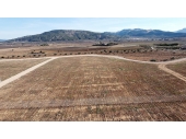 12-6961/5620, Land in Pinoso