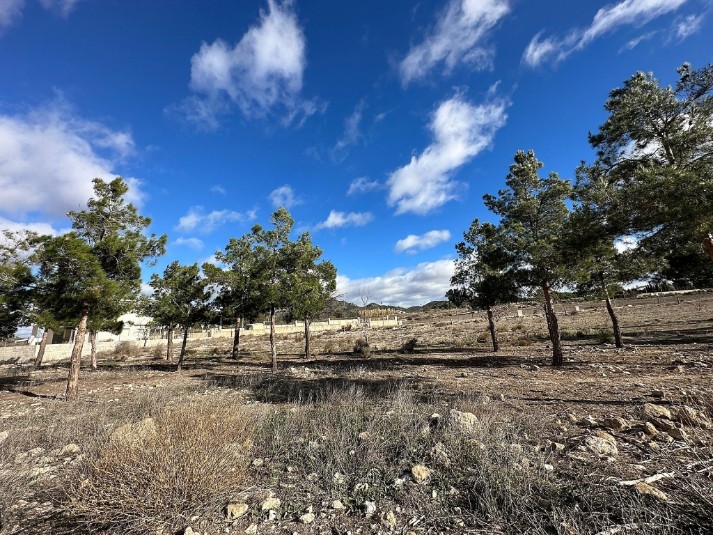 Land in Salinas