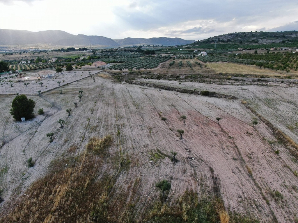 Land in Salinas