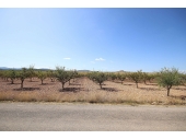 12-4267/5678, Land in Pinoso