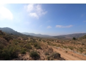 12-2330/5689, 1 Bedroom 1 Bathroom Land in Pinoso