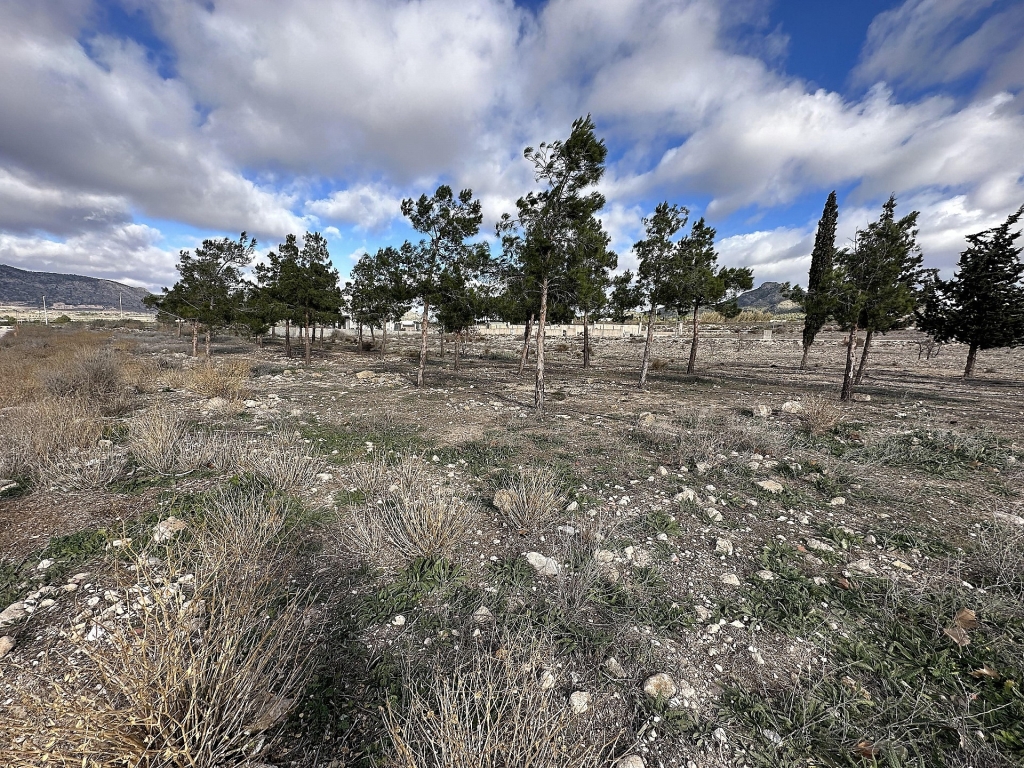 Land in Salinas