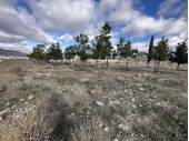 12-11501/5969, Land in Salinas