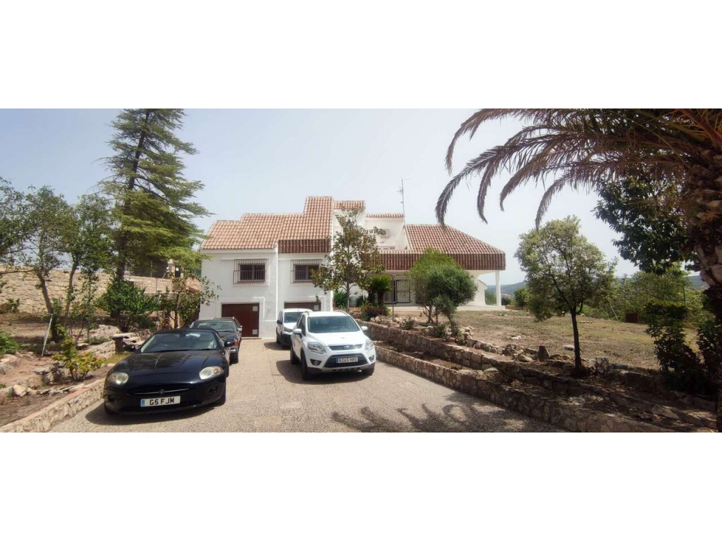 9 Bedroom 6 Bathroom Commercial in Ayora