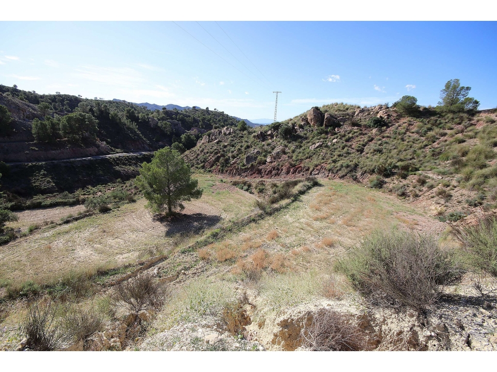 Land in Abanilla