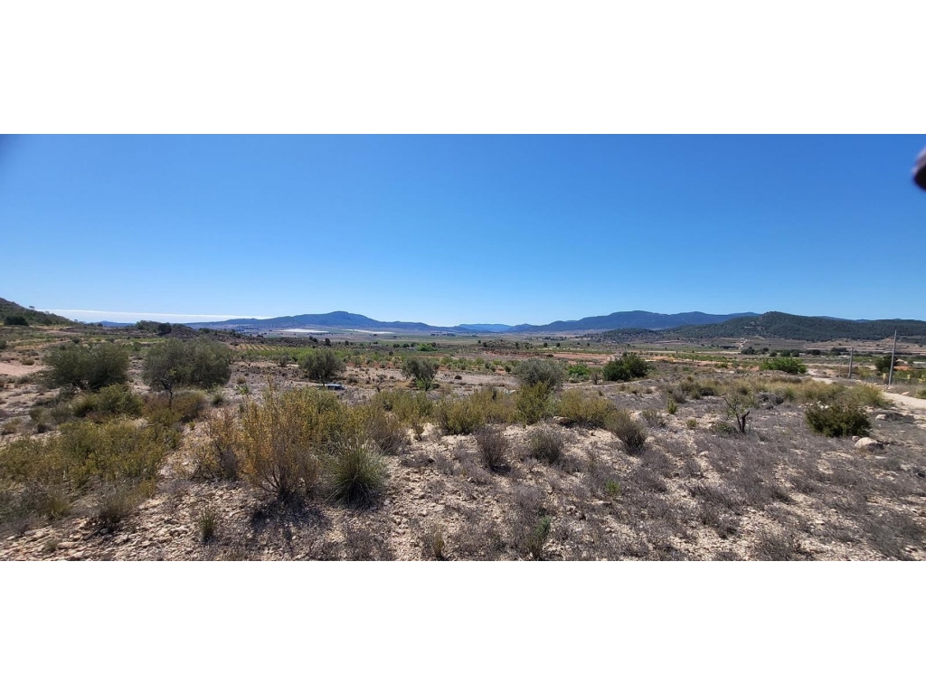 Land in Monovar