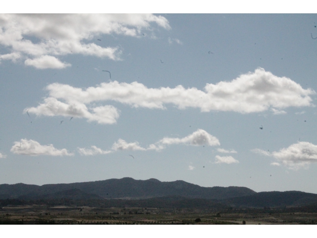 IMG-20250605-WA0056