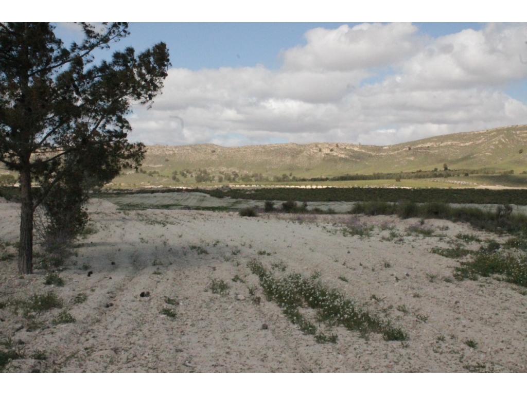 IMG-20250605-WA0065