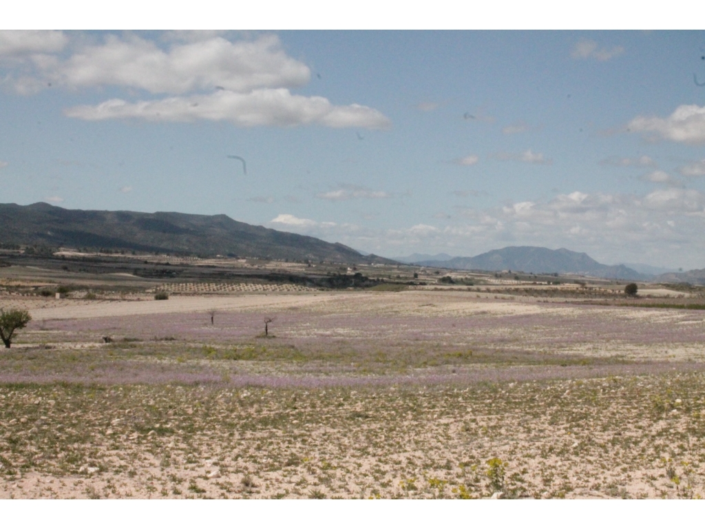 IMG-20250605-WA0077