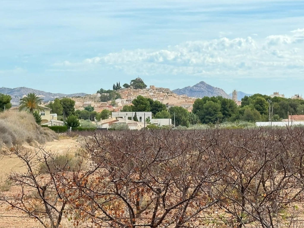 Land in Monovar