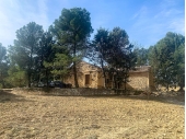 12-11171/6091, 4 Bedroom 1 Bathroom Finca in Almansa