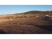 12-7481/6125, Land in Pinoso