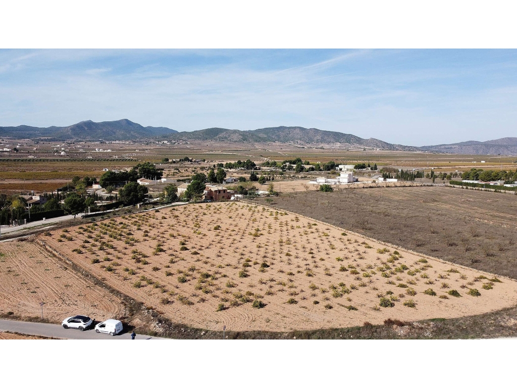 Land in Pinoso