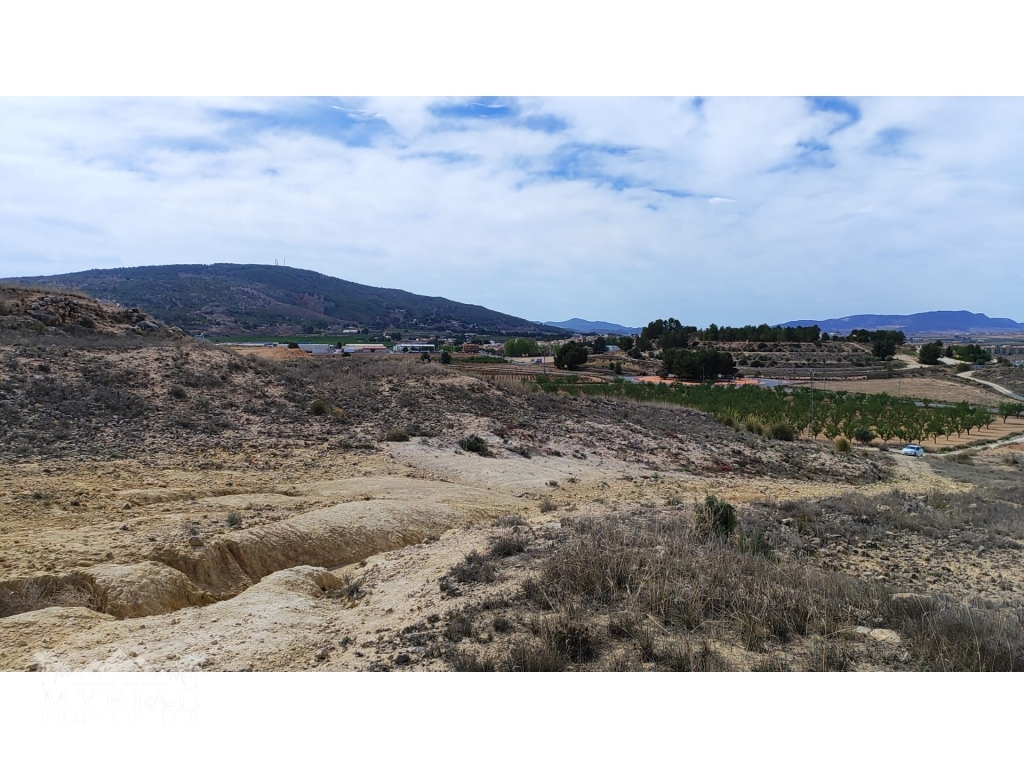 Building Plot