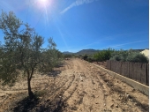 13-3383/6187, Land in Salinas
