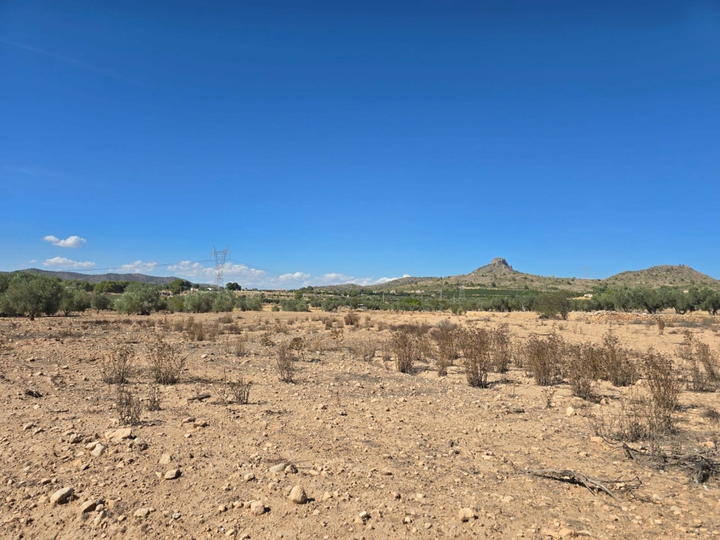 Land and Plots in Salinas