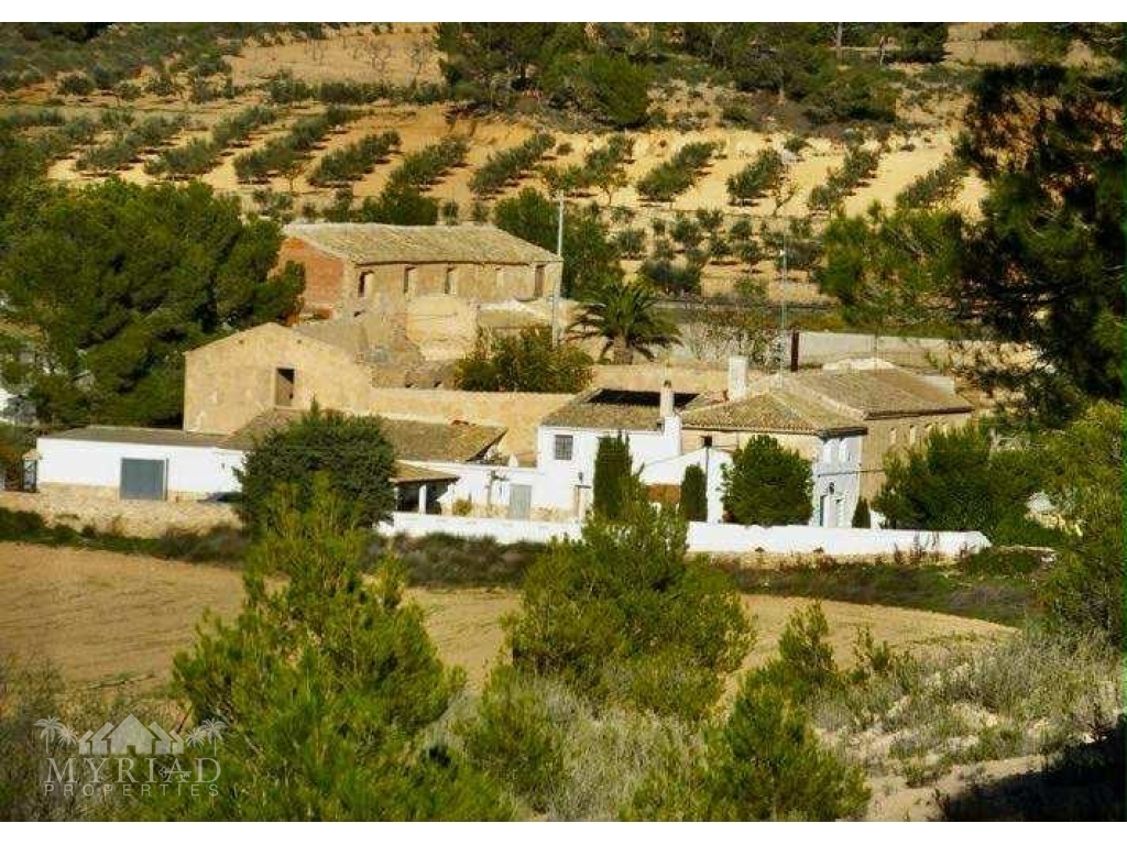 0e871ece-422e-4966-82fa-b6e764769196