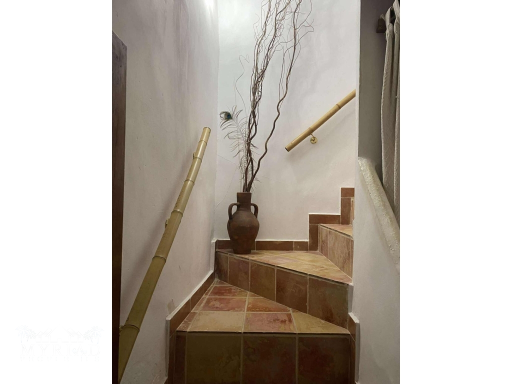 1ecaf8c2-249e-446a-98bd-879419a2e202