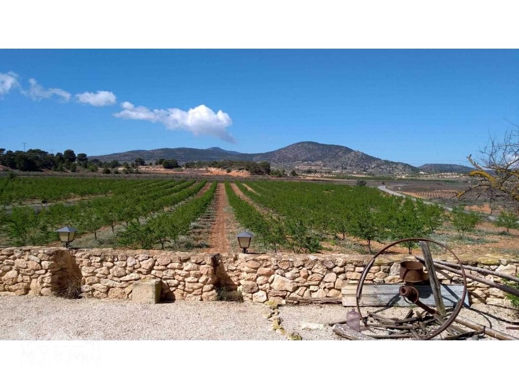 ec495b4c-4ce3-4899-b959-f22dd9de878e