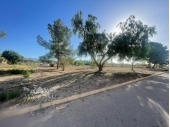 12-8006/6395, Land in Ubeda