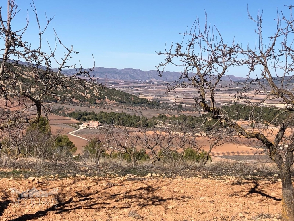 0e88efa1-85dc-4ff7-8645-2e6978ec3c68