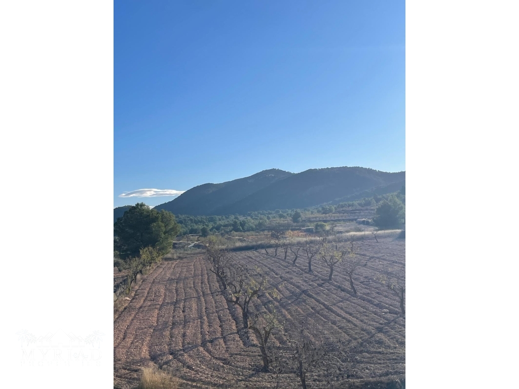 141cb8bf-6137-4858-a7a3-b2af77d44372