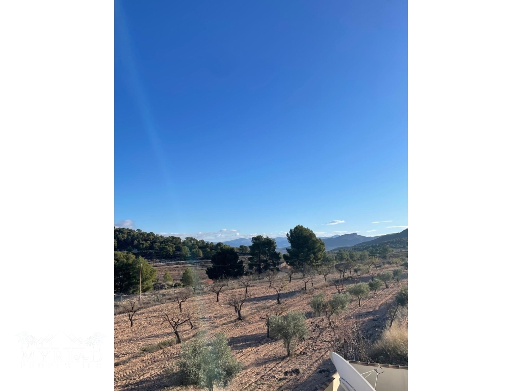 54325d2c-0179-495b-860c-ec42c98ddf1a