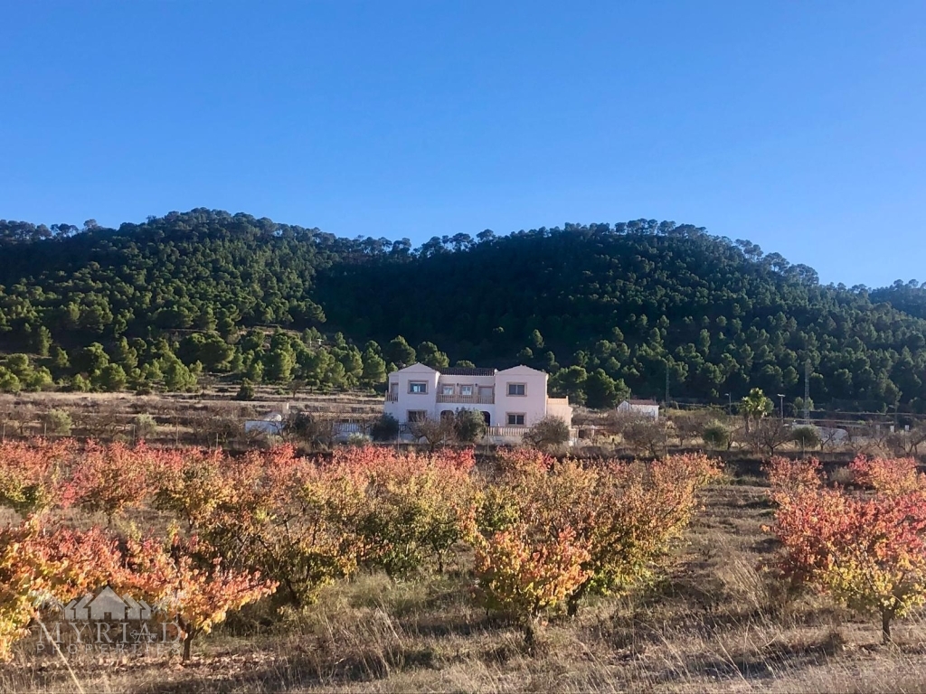 86d7868d-f151-43c2-91f6-6c185b31c452