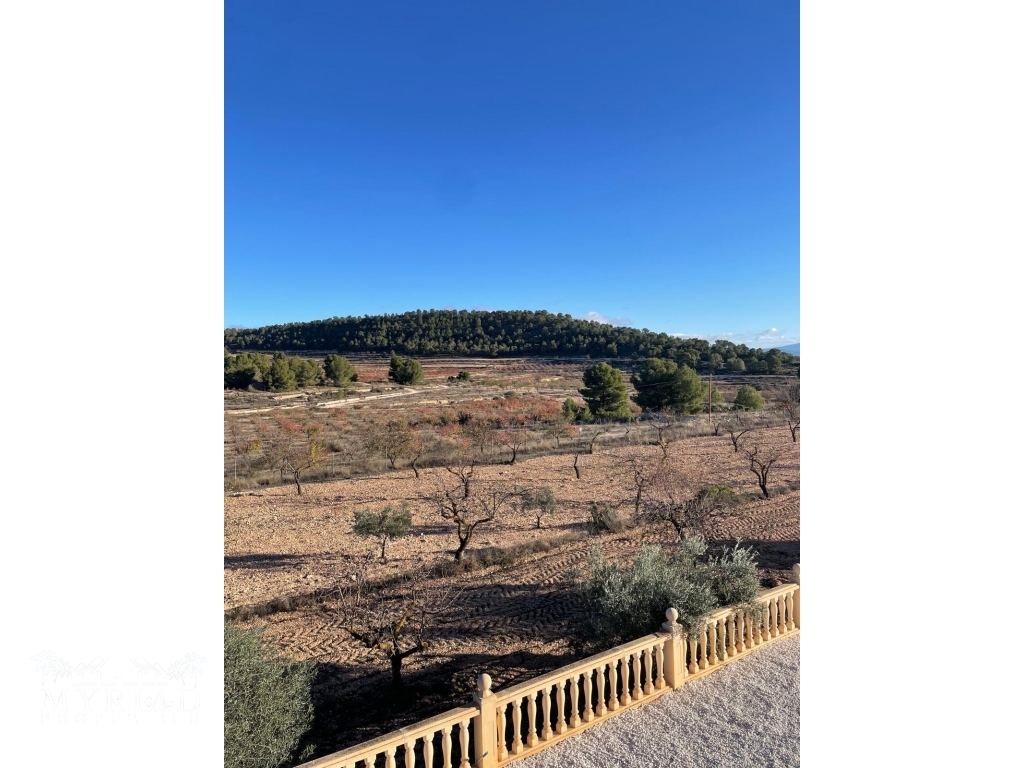 cf404e33-a36f-4e58-a4ba-4b462b53b3cc