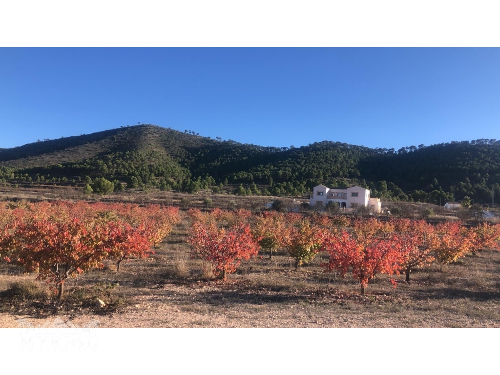 faf2a2d4-bc39-476a-bc86-61a71ec0fc09