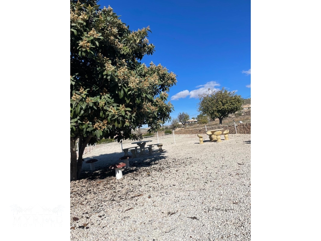 adadda47-ad7c-48c6-8b43-979beb7b9f1e