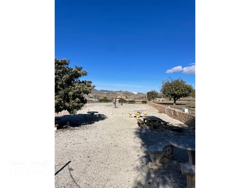 daf49087-4b8d-47fa-b0ba-f72edf47adb4