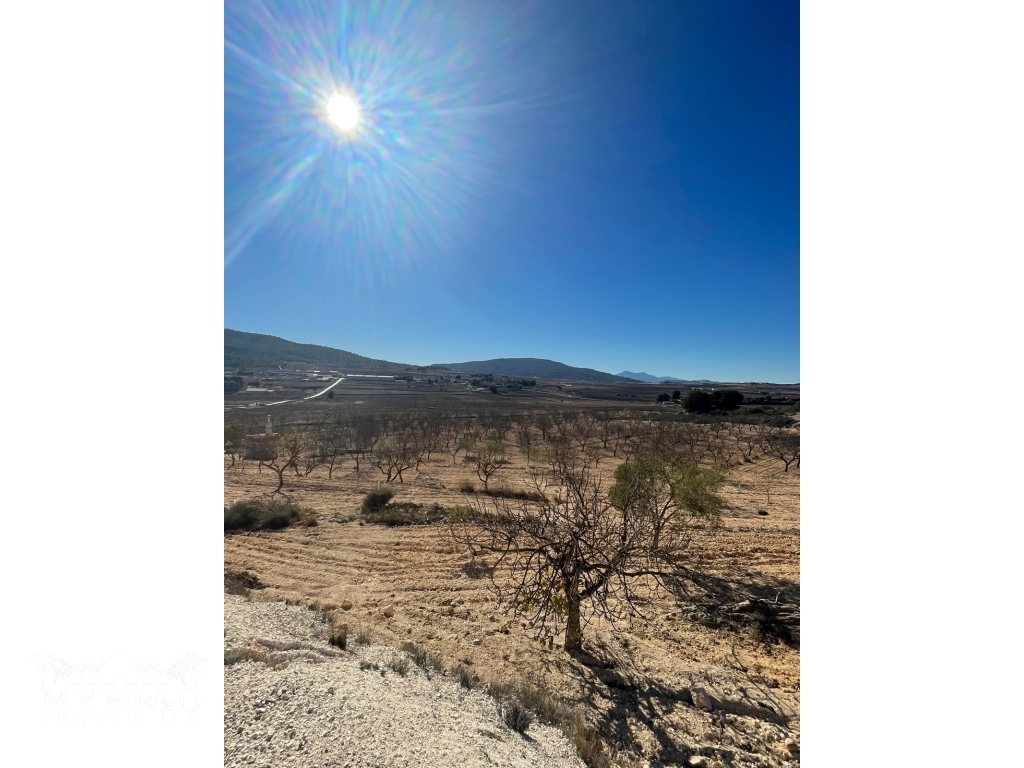 00718b71-83c9-4949-bbe0-035d964bcdd9