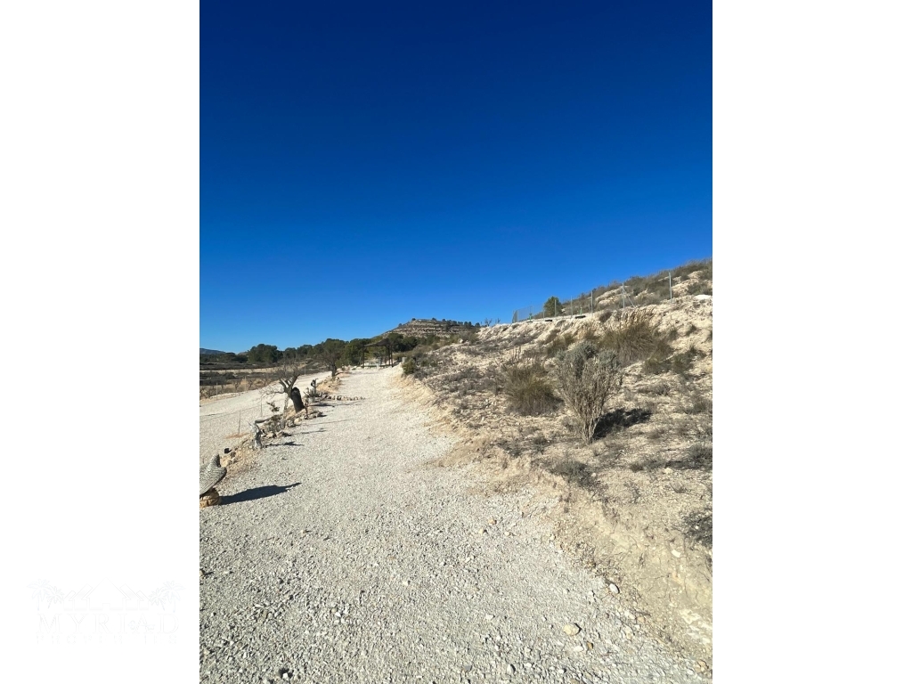 5b0753b3-6fe7-4cfa-beda-777d0280d2a8