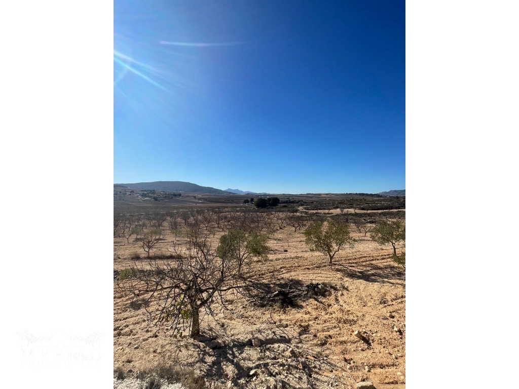 96a2dbed-cc3f-484b-8c35-d7e889b64414