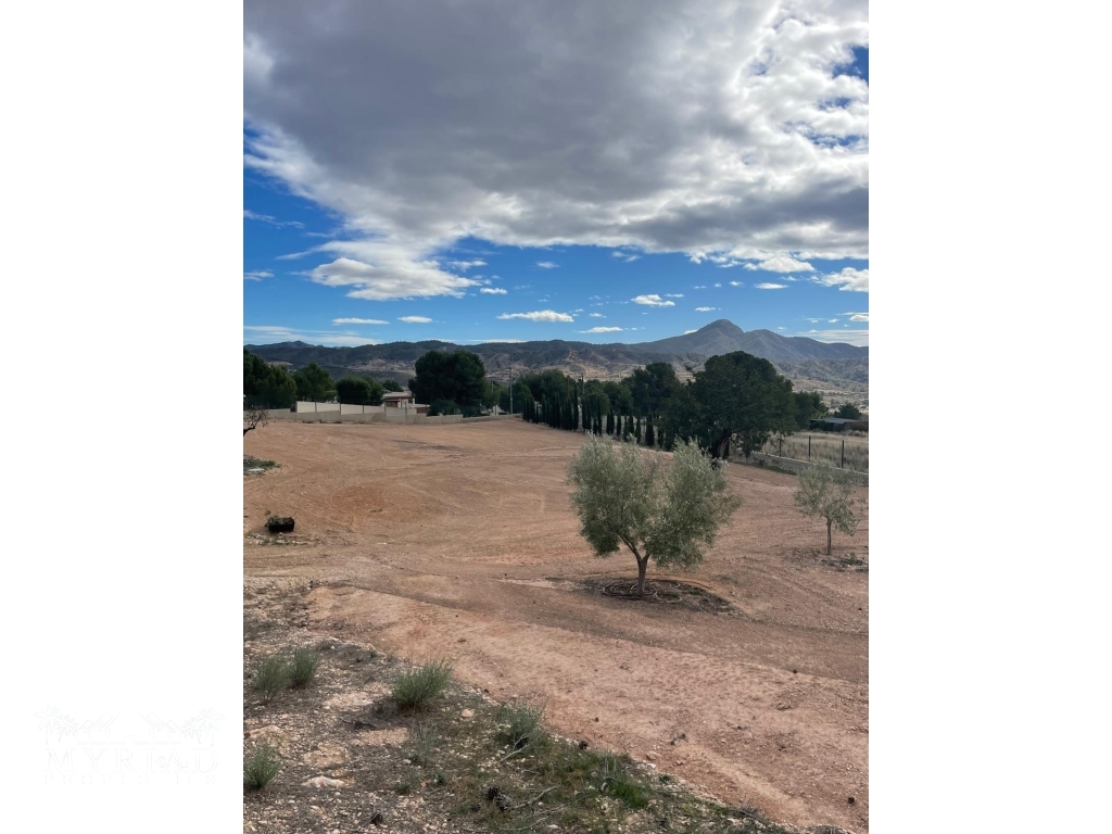 2ed5104e-ee3f-4bdf-b5a5-709b46ae02c3