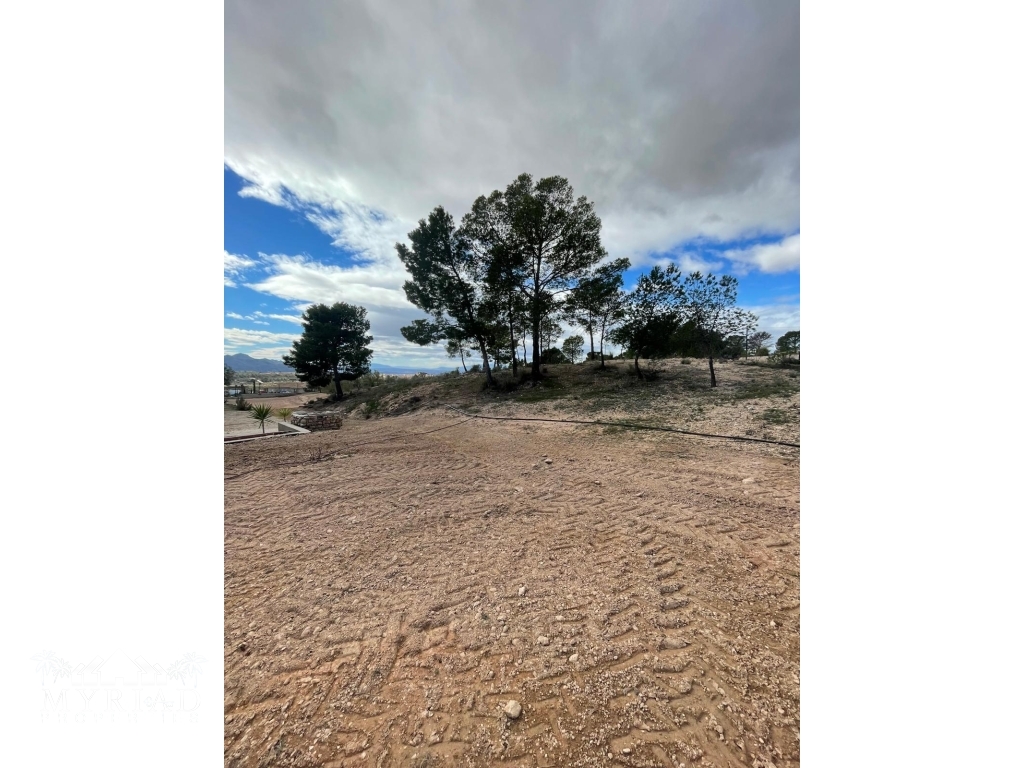 3d2b5c6c-6801-4a55-9a32-e65ac7620e6b