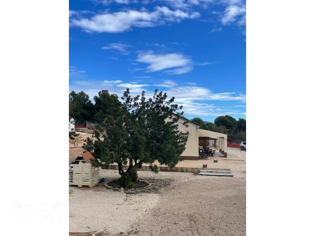 e7cacea6-df00-4d58-a90a-d29ca54f685f