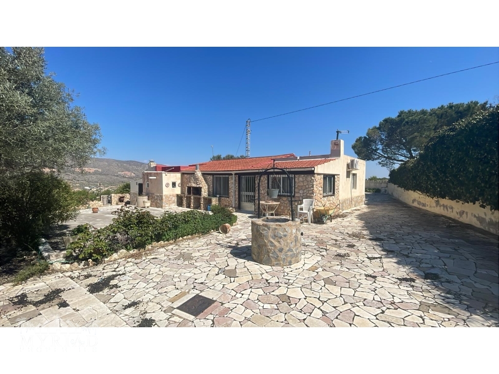 149faa92-be01-4c7e-b647-04e22907b126