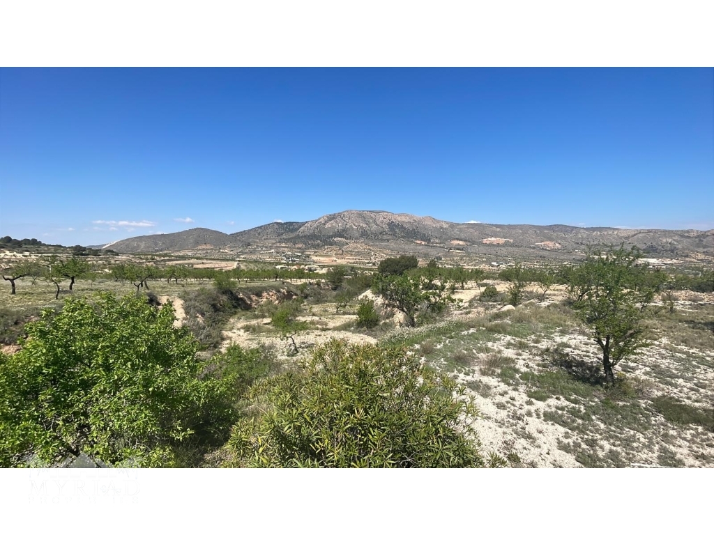 1c0b65df-de35-4998-9ff3-c6e5f35d0506