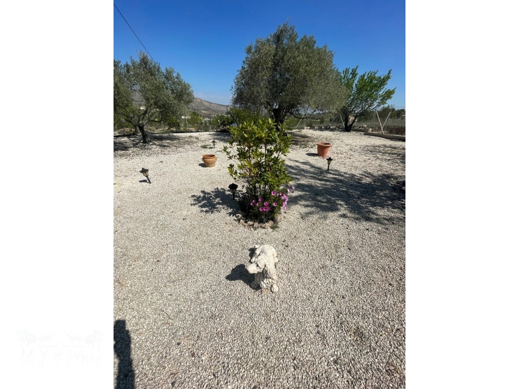 29bdfec9-b8fb-4cfd-85d0-4436bc363e95