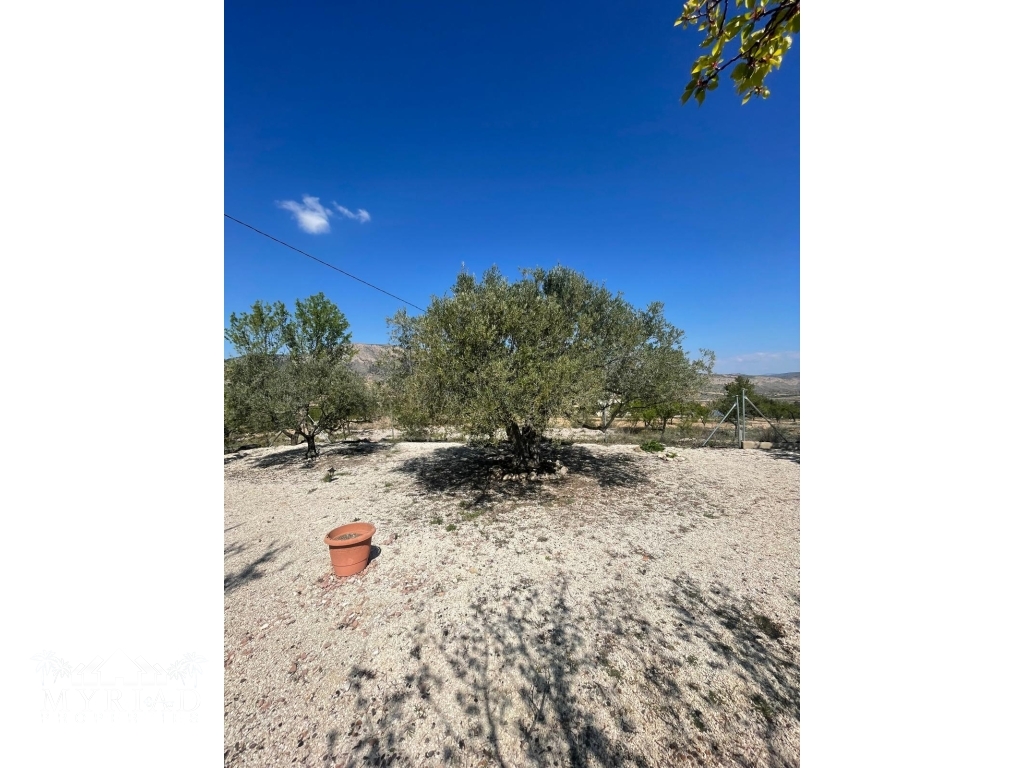 411f5372-5ed8-4952-8d25-9ea33ebcdeaa