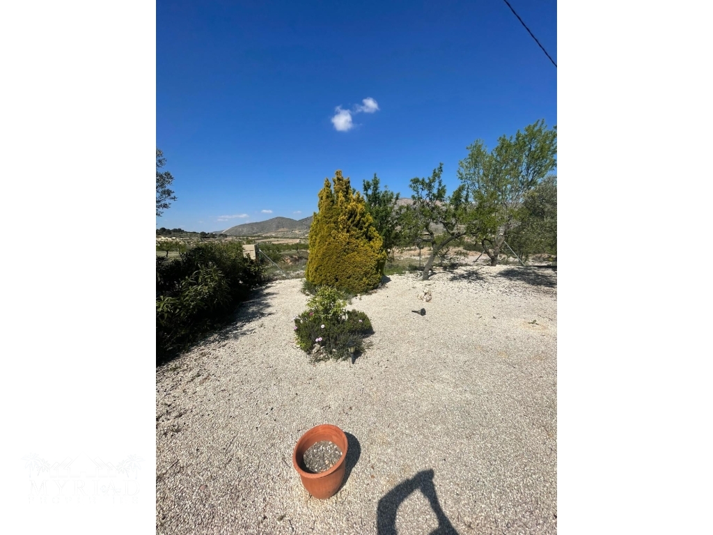 45d597ca-00a4-45ba-9545-77fe83ee4c72